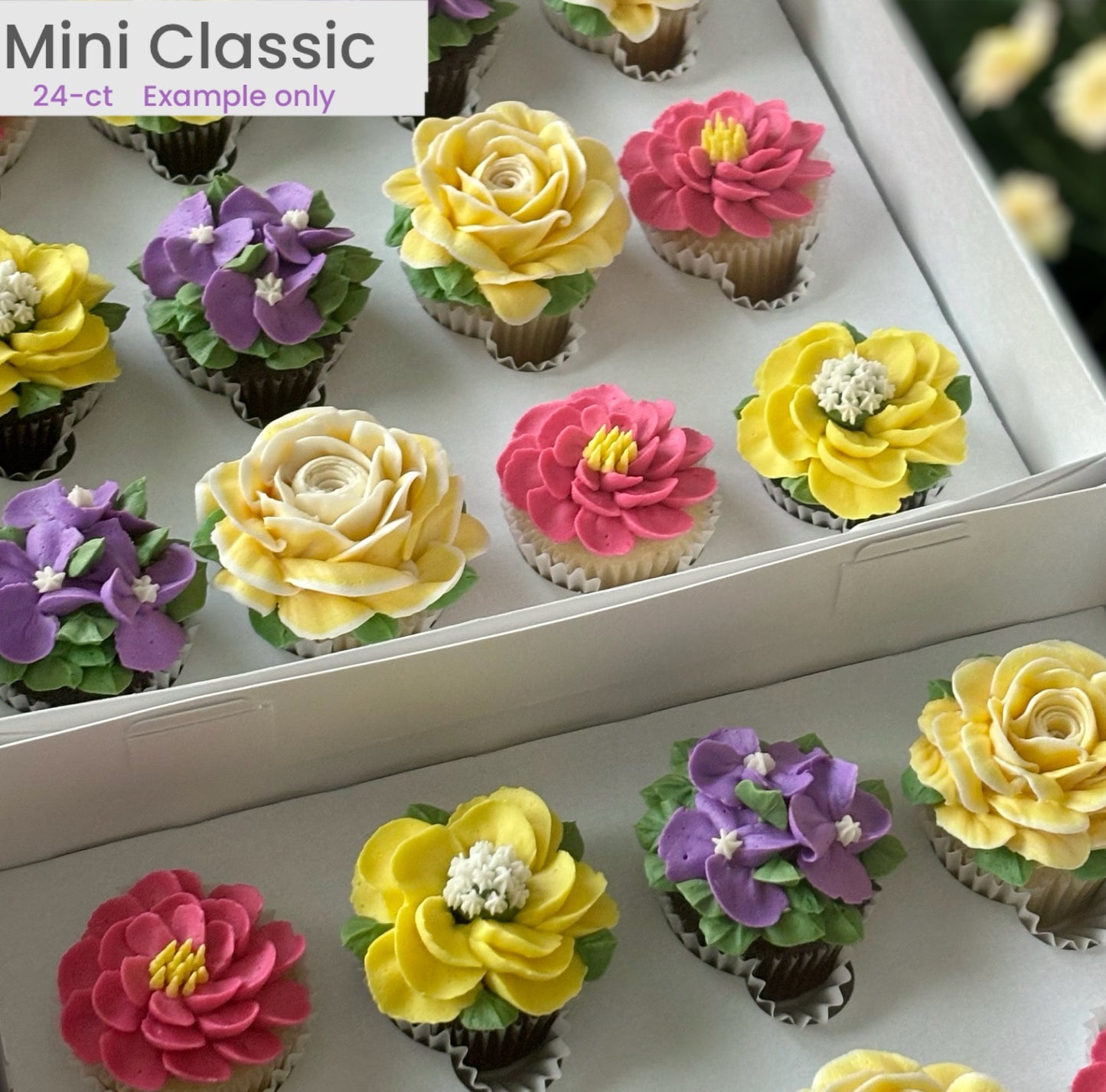 Florals MINI Boxed 24-Count - CLASSIC