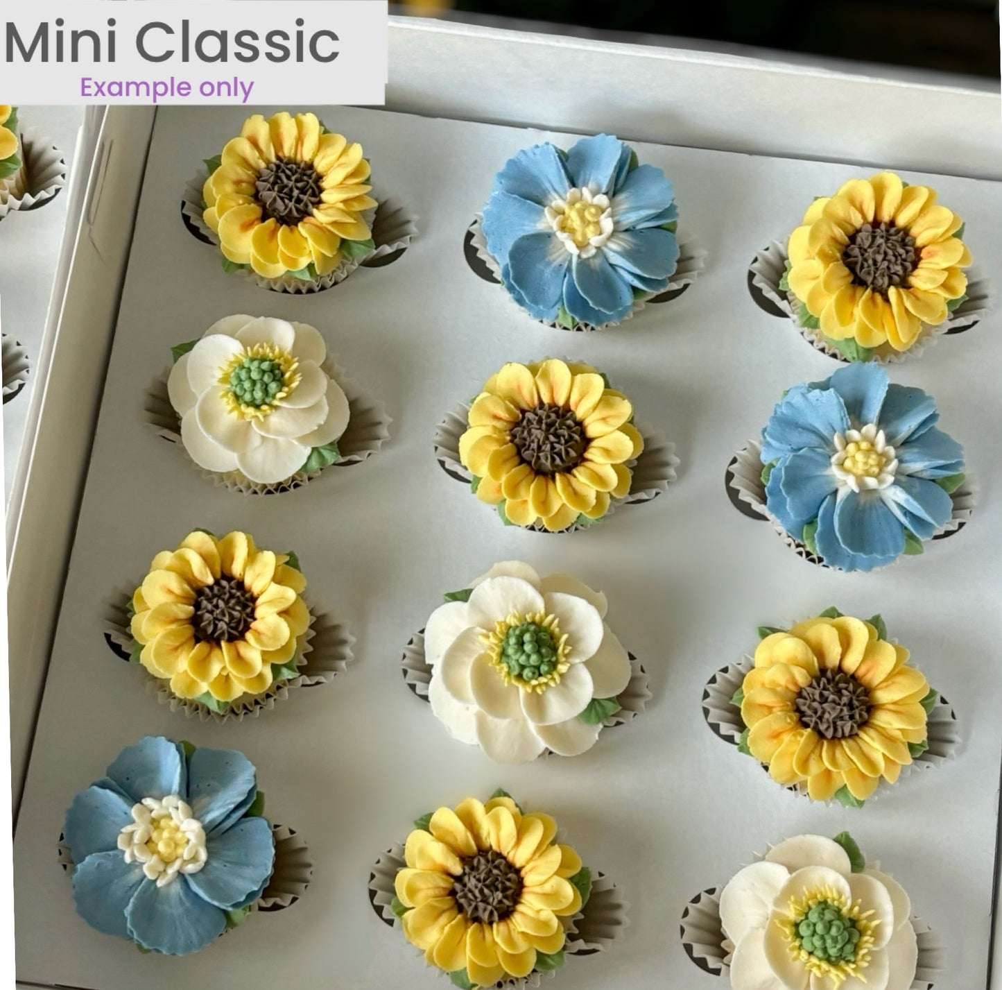 Florals MINI Boxed 12-Count - CLASSIC